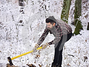 Man with warm gloves puts axe into tree in forest.
