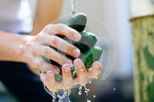 Man washing cucumbers in the yard sink close up.