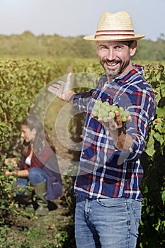 man watching bunch grapes