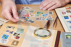 Man watching a collection of postage stamps