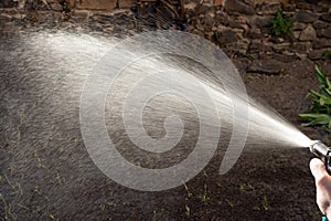 Man watering backyard lawn using hosepipe