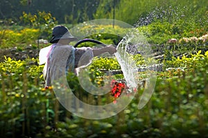 A man watering flower garden