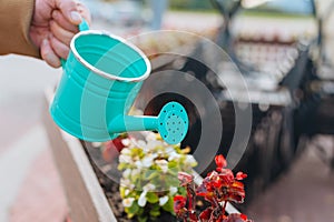 A man waters flowers from a bright watering pot