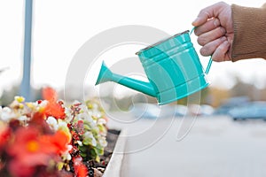 A man waters flowers from a bright watering pot