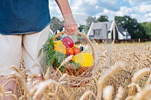 Man wearing beige shorts and blue shirt holding basket with vegetables