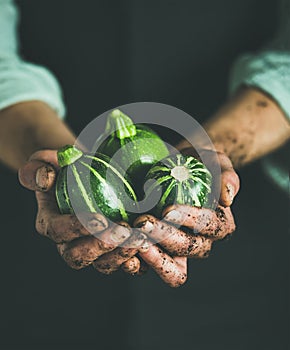 Man wearing black apron holding fresh green zucchinis in hands