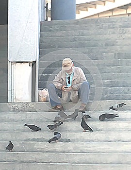 Oil Painting of Retired Old Man Sitting on Steps Feeding Pigeons, Looking at His Phone