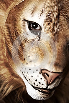 Man wearing a lion mask