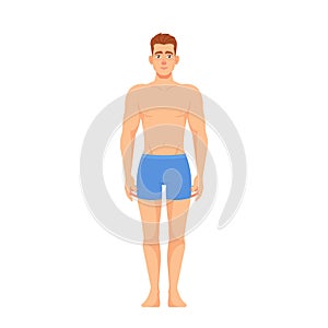 Man Wearing Panties Standing Front View Isolated On White Background. Concept For Anatomy Education, Gender