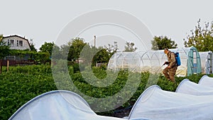 Man wearing protective mask and glasses sprays pesticides on potato field