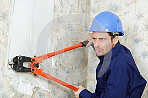 man wearing red safety gloves removing wall tails