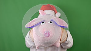 Man wearing Santa Claus`s cap with a symbol of 2019 piggy or mumps, New year and christmas, on green Chroma key