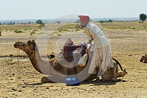 Man wearing turban and traditional dress gets his camel ready for a safari ride in the desert near Jodhpur, India.