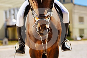 Man wearing white trousers and black riding boots sitting on horse