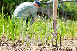 A man is weeding beds.