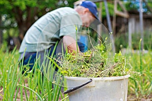A man is weeding beds.