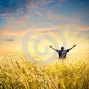 Muž v pšenice 