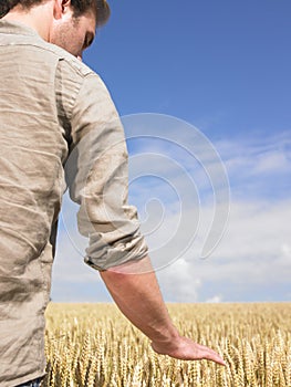 Man in wheat field