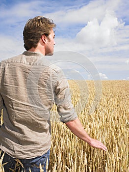 Man in wheat field