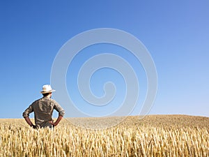 Man in Wheat Field