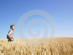 Man in Wheat Field