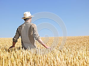 Man in Wheat Field