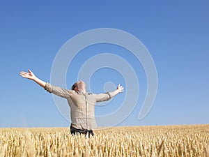 Muž v pšenica ramená roztiahnutý 