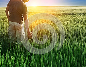 Man in wheat field and sunlight