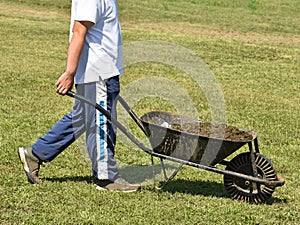 Man with wheelbarrow full of manure