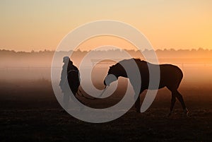 Man who leads a horse in the field