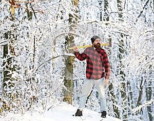A man in a winter forest. A woodman working in the forest. Man inspecting trees in wood. Man in winter landscape
