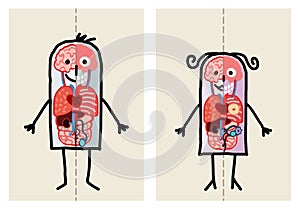 Man & woman anatomy