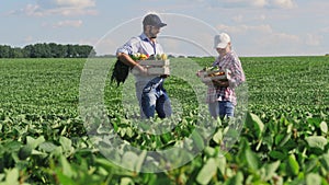 Man and woman with box of vegetables in the middle of a green field