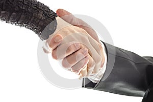 Man and woman business handshake