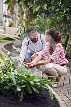 Man and woman desinger working at urban garden.Planting,design flower garden