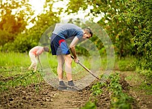Man and woman, digging and shoveling in garden spring time