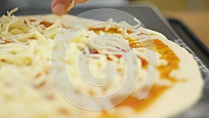 A man or woman is engaged in home business preparing a delicious pizza. Cooking pizza.
