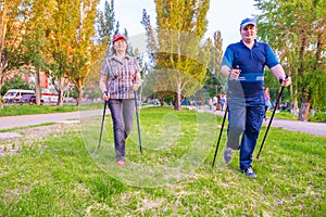 A man and a woman are engaged in Nordic walking.