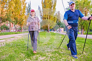 A man and a woman are engaged in Nordic walking.