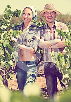 Man and woman gardeners in grapes tree yard