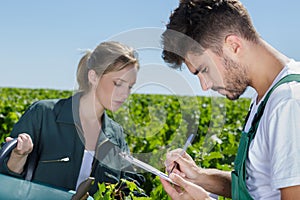 man and woman gardeners standing together in grapes tree yard