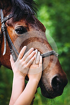 Man and woman hands stroking horse