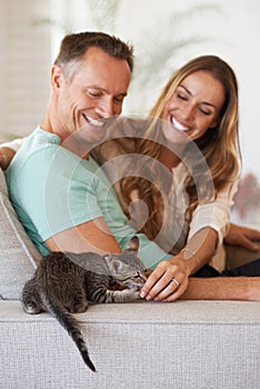 Man, woman and happiness with kitten and pet love, support and care with trust, playful and relax on sofa at family home