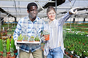 Man and woman holding box with cactus in greenhouse