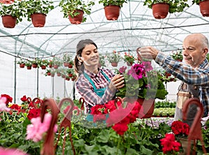 Man and woman in nursery garden