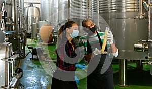 Man and woman in protective masks check the quality of white wine at winery