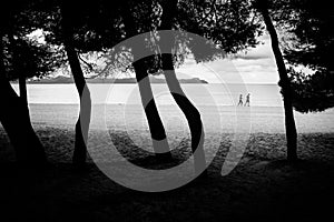 Man and woman running together on the beach. Active photo