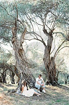 Man and woman sit on the roots of an old olive tree and look at each other