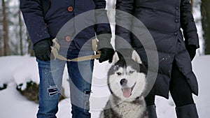 A man and a woman sitting hugging a dog Siberian husky in the winter forest smiling and looking at each other and at the