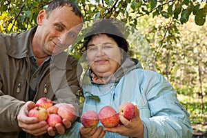 Man and woman stretch out their hands with apples